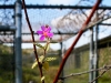 GITMO - Guantánamo Bay