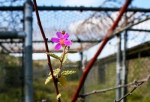 Guantanamo