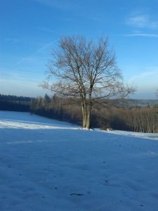 Fotografování mobielm