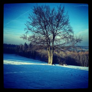 fotografování mobilem