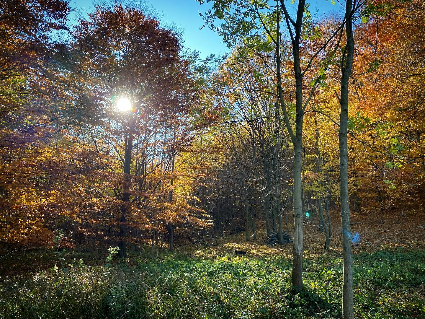 #amazing #colors of #autumn #landscape #landscapephotography #travel #iphonography #moravia #czechrepublic #morava #mountains