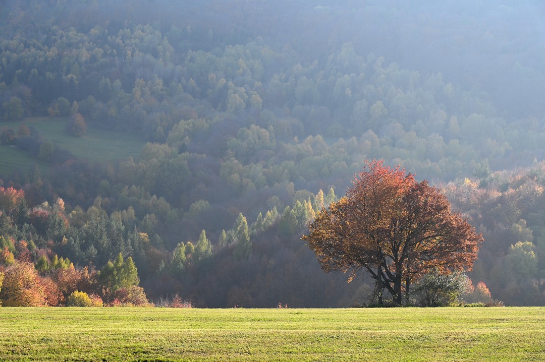 #colors of #nature in the #mountains of #slovakia #landscape #landscapephotography #nikon #nikonz6ii #nofilter #travel #tourism #Slovensko #bilekarpaty #park