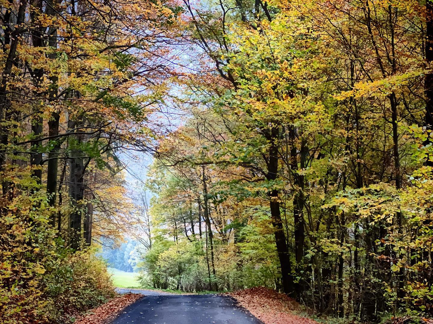 fantastic #colors of #autumn over a #road in the #mozntains of #moravia #czechrepublic #iphone13pro #landscape #landscapephotography