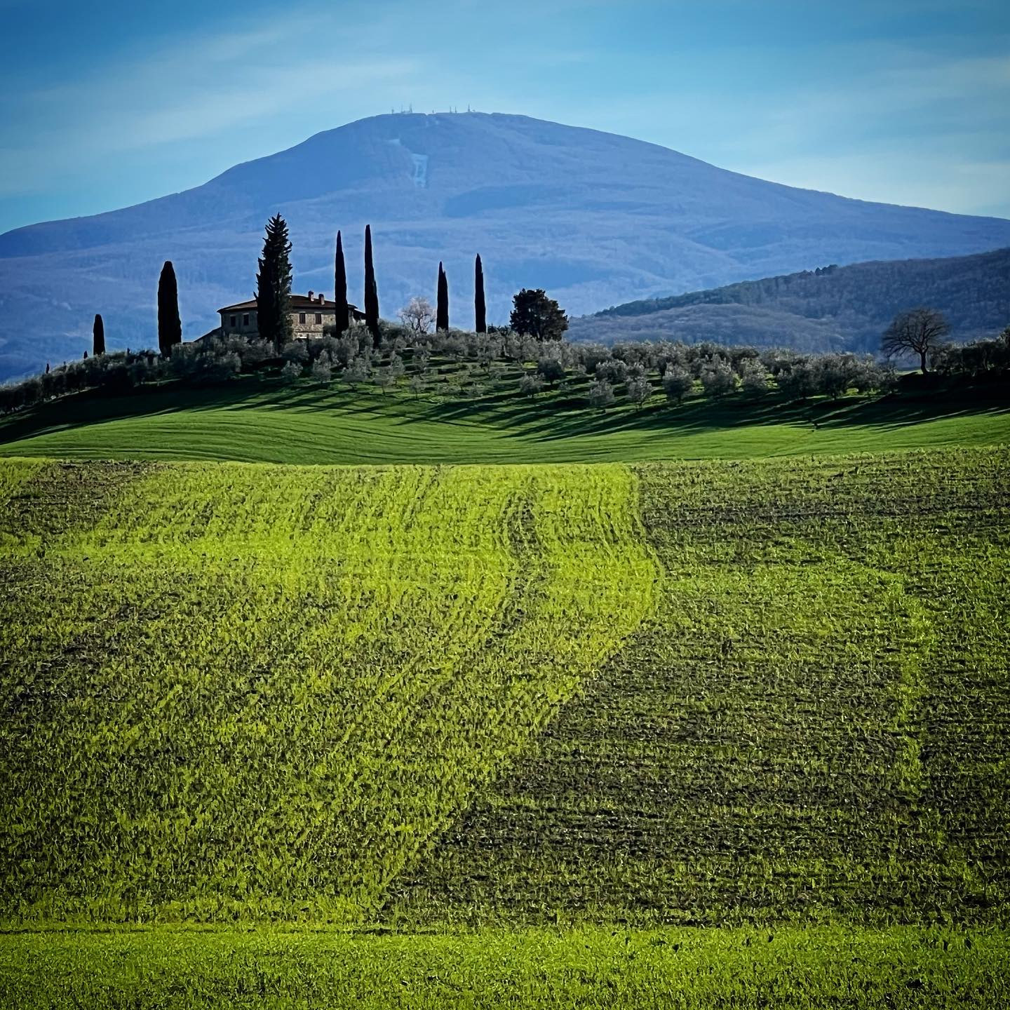 spring arrived to #tuscany - amazing #light over fields near #montalcino #today #iphone13pro #nofilter #italy #travel #tourism #landscapephotography #landscape